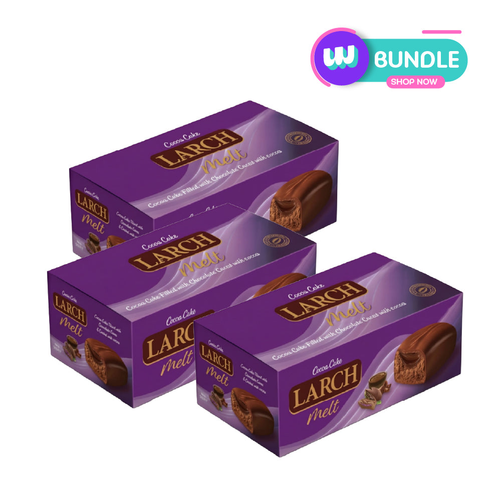 Larch Melt Cocoa Cake Filled with Chocolate Sauce 72pcs